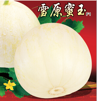 雪愿蜜玉（甜瓜类）