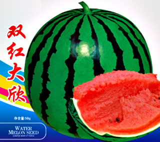 双红大欣(西瓜类)